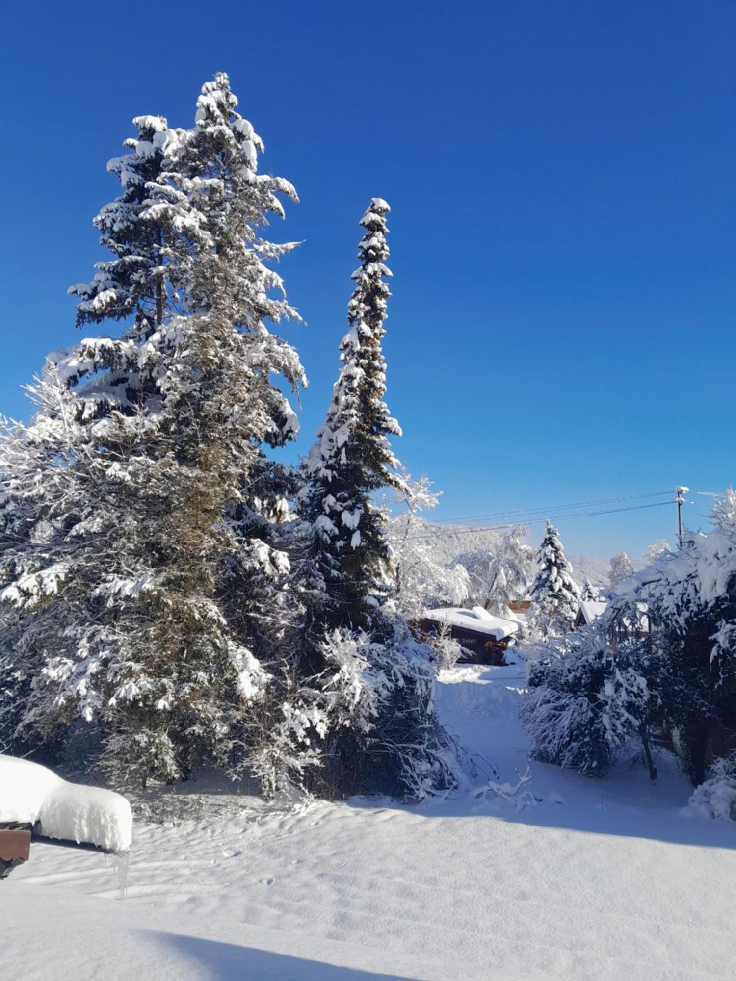 Gaestehaus Zunterer Wallgau Bagian luar foto